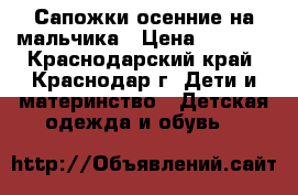 Сапожки осенние на мальчика › Цена ­ 1 000 - Краснодарский край, Краснодар г. Дети и материнство » Детская одежда и обувь   